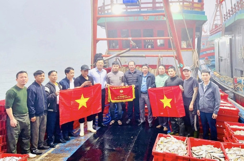 Chuyến biển đêm cuối năm, ngư dân trúng 1,5 tấn cá ngứa, thu 500 triệu đồng - 3