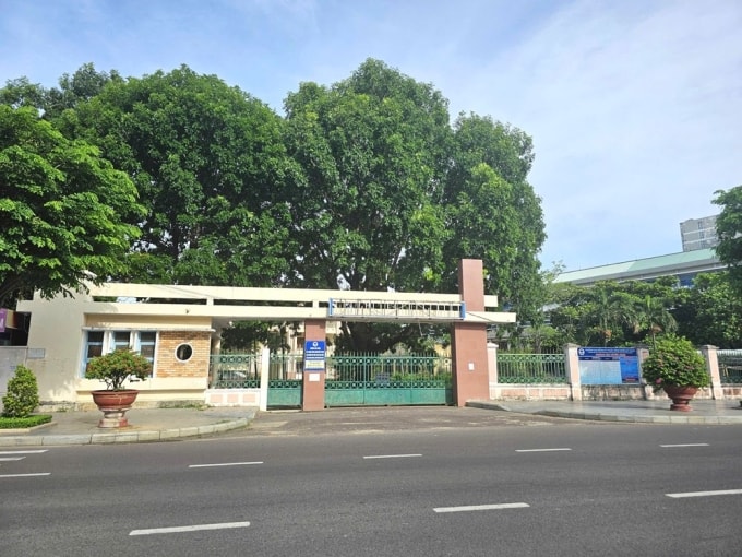 Khu đất 3,16 ha triển khai dự án tại Gia Lai. Ảnh: Công thông tin tỉnh Gia Lai