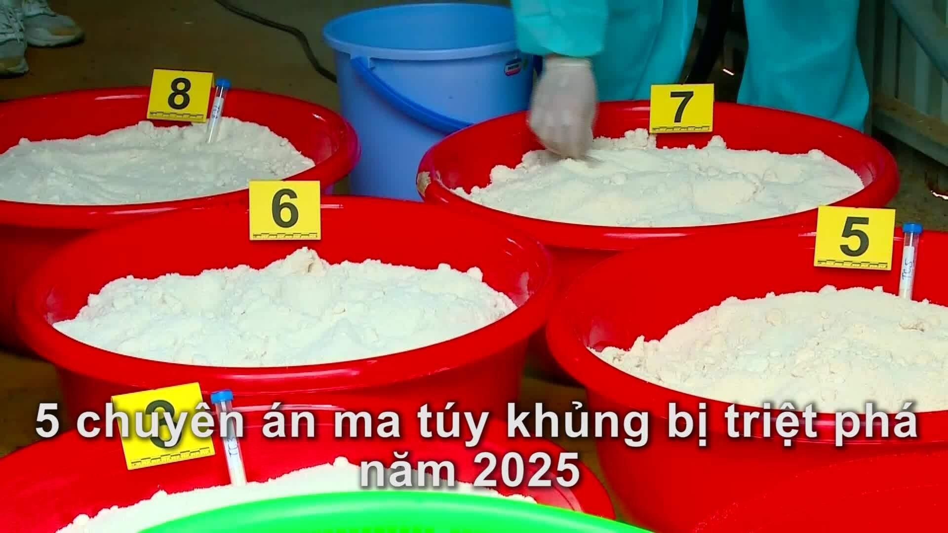 5 vụ buôn ma túy 'khủng' bị triệt phá trong năm 2025