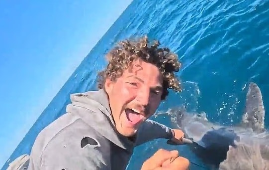 Thợ mộc trẻ kinh ngạc khi câu được cá mập trắng khổng lồ dài 2 mét - Ảnh 1.