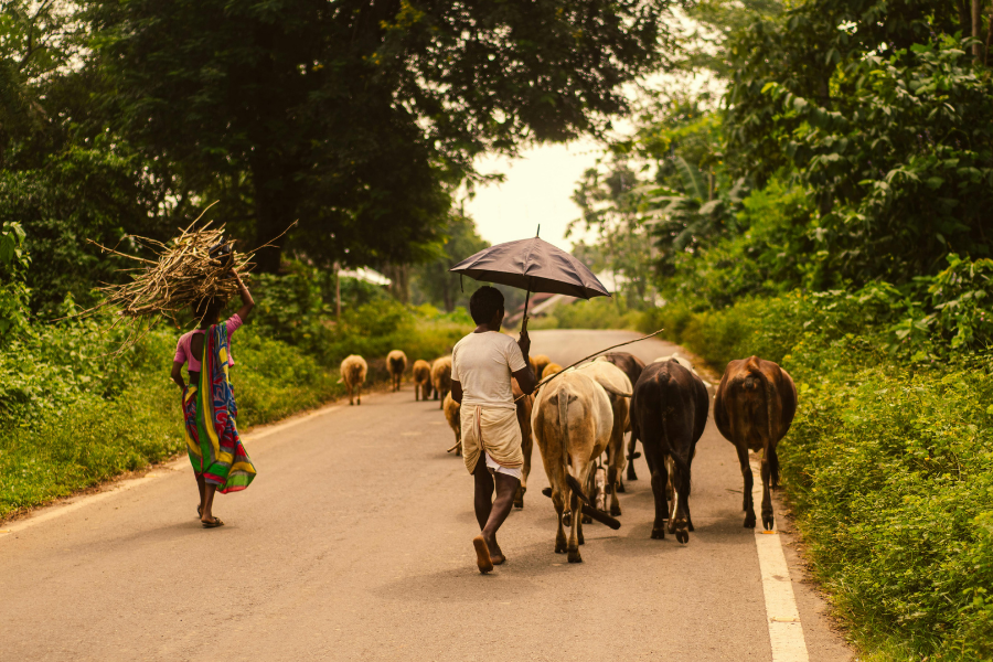 Phần lớn trong số này là thanh thiếu niên và người trẻ tuổi, có vóc dáng gầy, sinh sống tại các quốc gia thu nhập thấp và trung bình