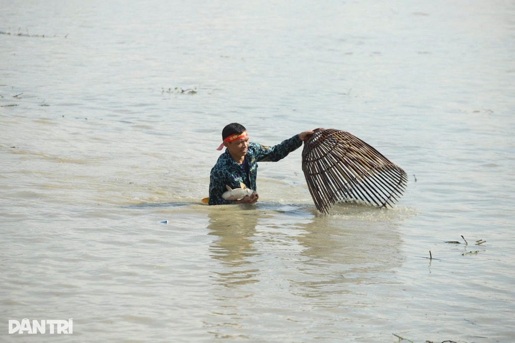Hơn 100 người lội ao, quây bắt cá to nhận thưởng tiền triệu - 2
