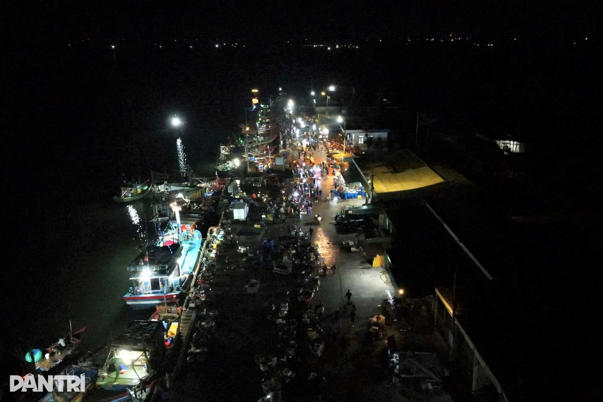 Cảng cá tấp nập từ 4h ngày đầu năm, tiểu thương cười rạng rỡ đón lộc biển - 1