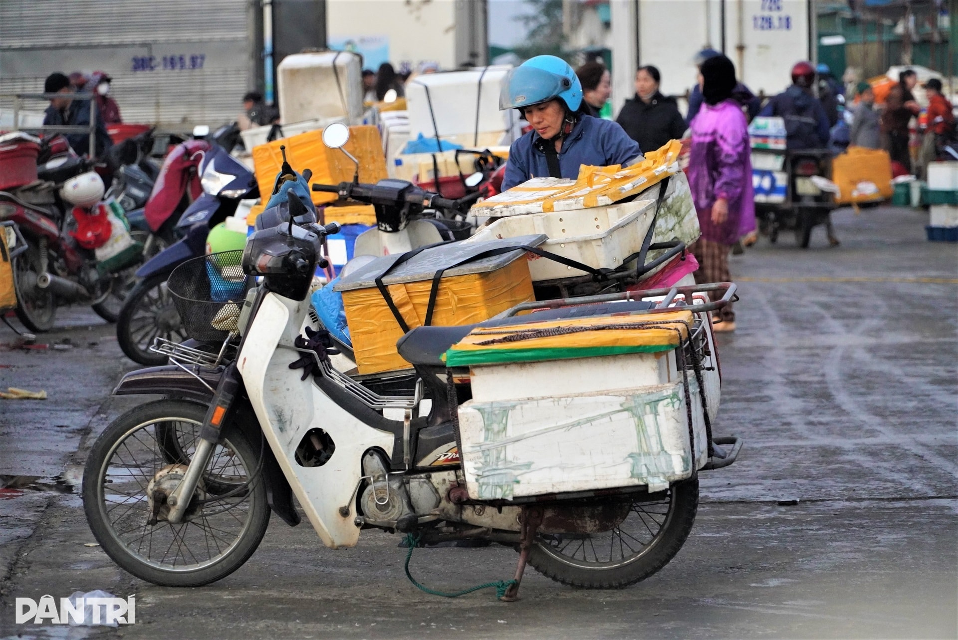 Cảng cá tấp nập từ 4h ngày đầu năm, tiểu thương cười rạng rỡ đón lộc biển - 10