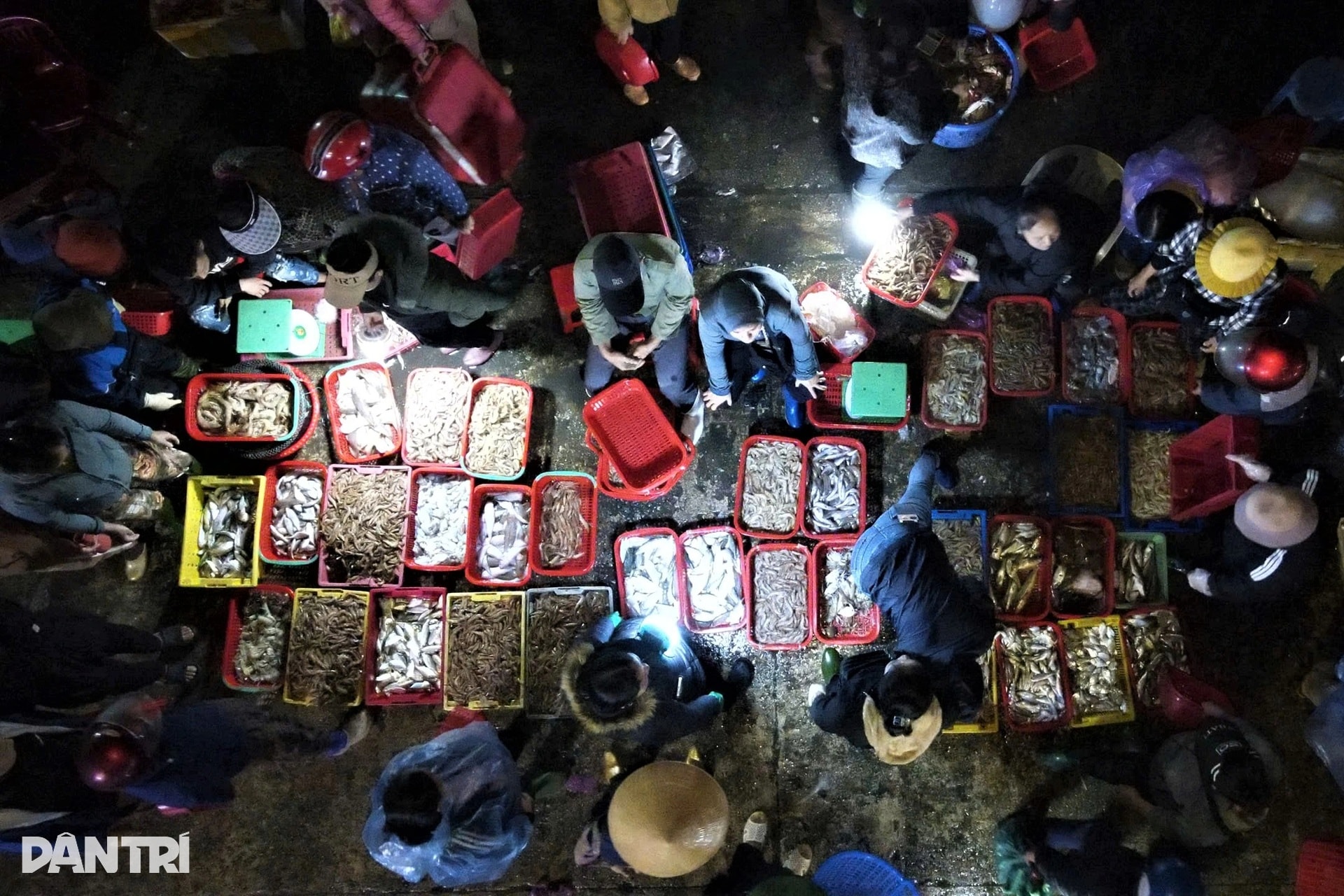 Cảng cá tấp nập từ 4h ngày đầu năm, tiểu thương cười rạng rỡ đón lộc biển - 2