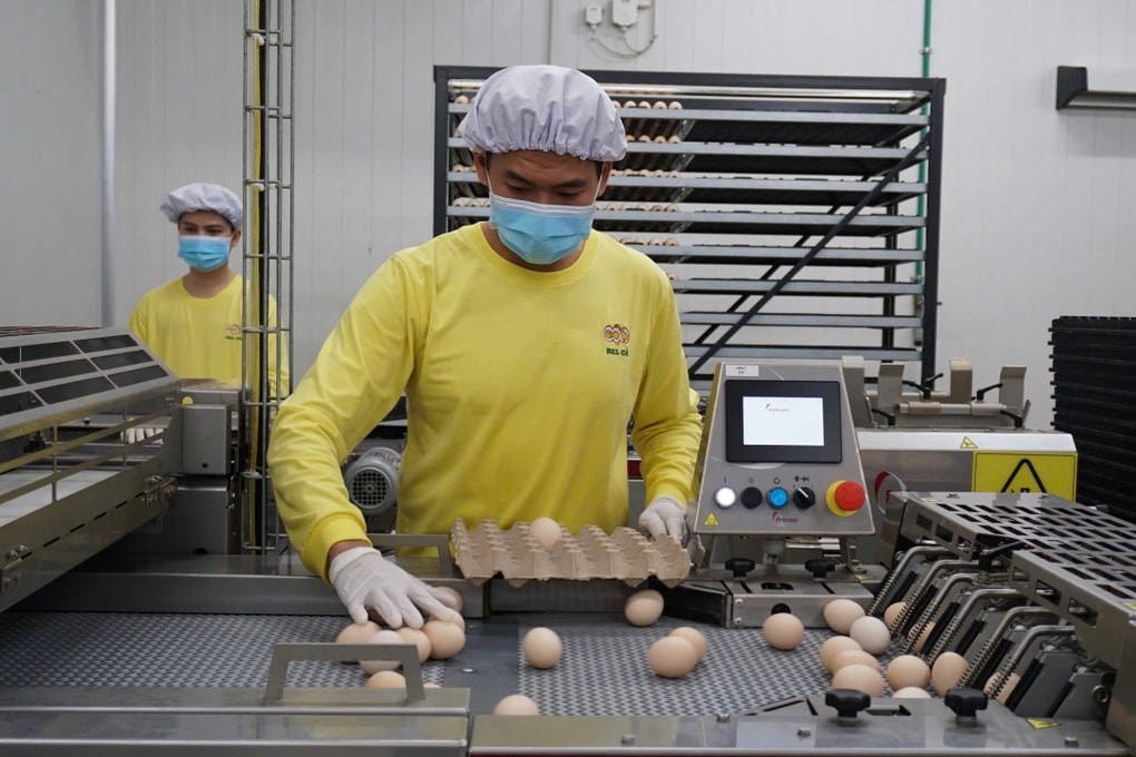 Mức thưởng Tết bình quân của công nhân ở Tây Ninh hơn 7,5 triệu đồng/người - 1