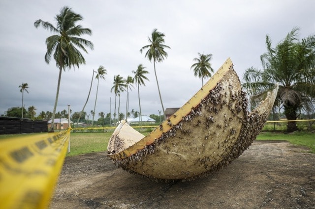 Phát hiện vật thể lạ khổng lồ trôi dạt vào bãi biển - Ảnh 1.