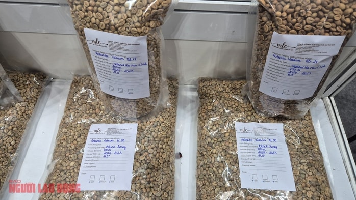 Giá cà phê hôm nay 2 - 1: Dự báo giá cà phê hồi phục lên 5 . 000 USD / tấn - Ảnh 2.