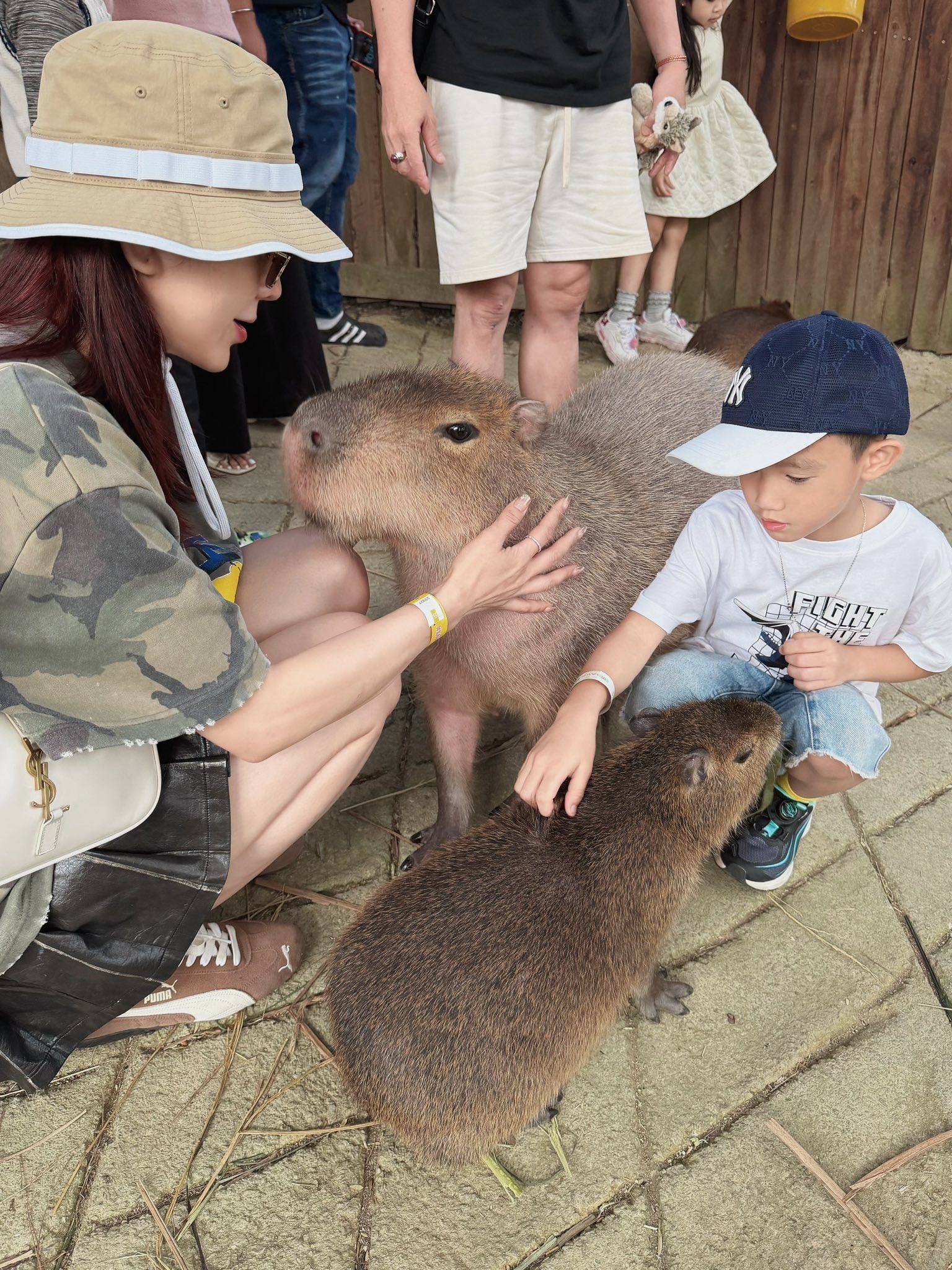 đầu năm ảnh 8 dau nam anh 8