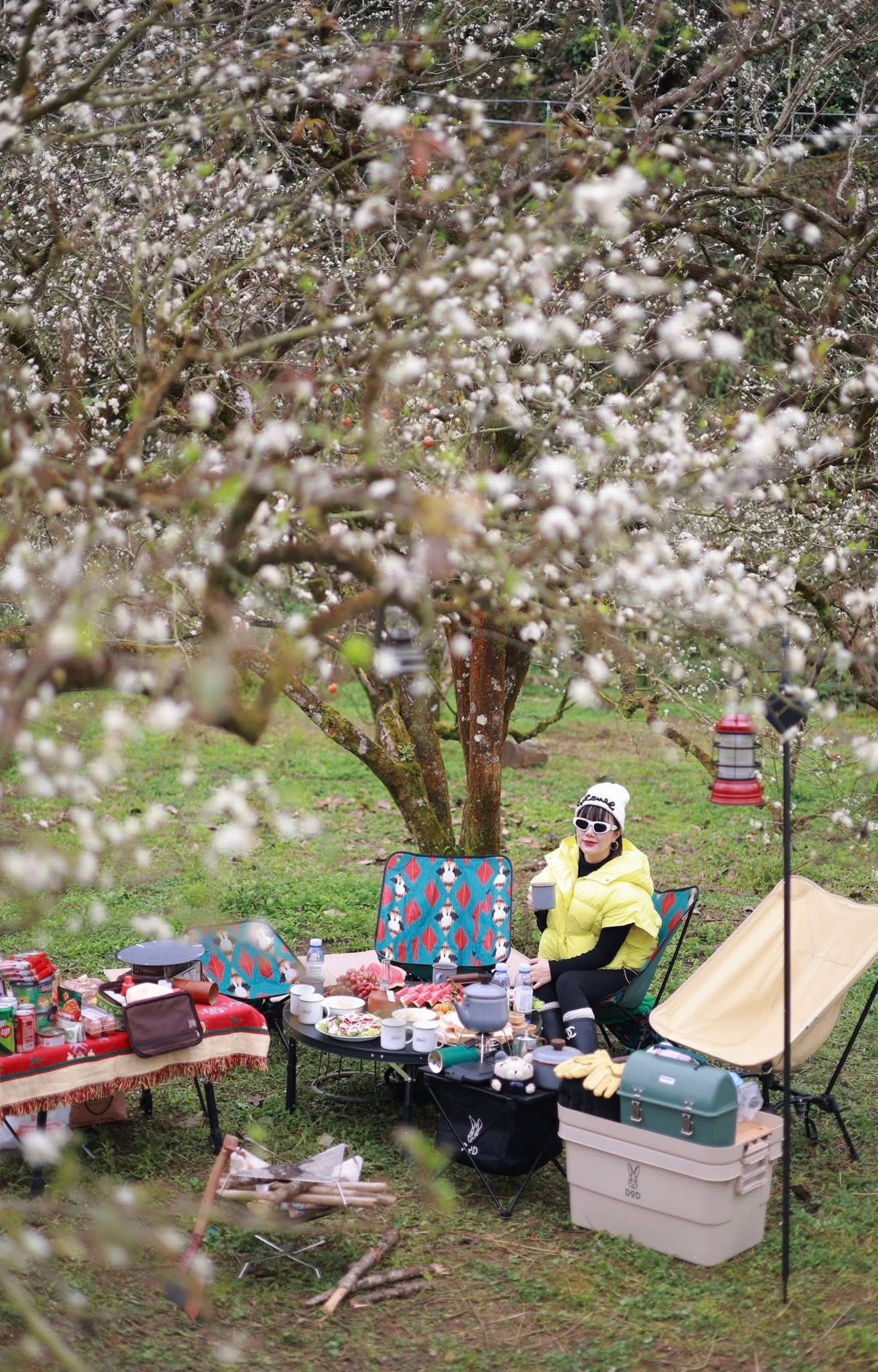 Hoa mận nở trắng Mộc Châu, du khách như lạc vào miền cổ tích - 8