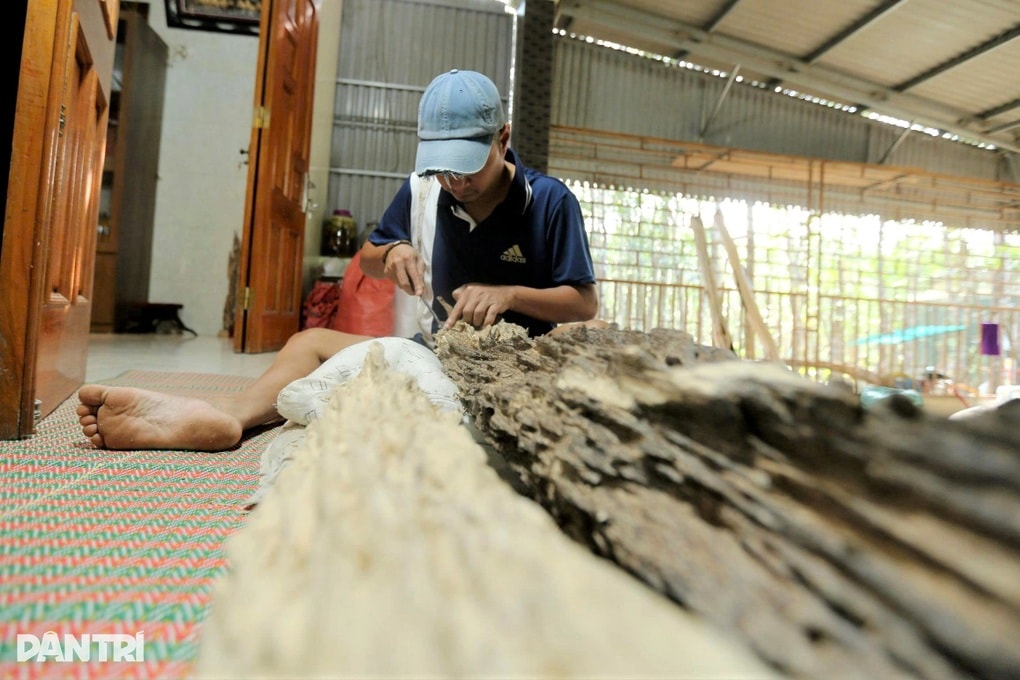 Khúc gỗ trăm năm có một, được trả giá hơn 600 triệu đồng - 2