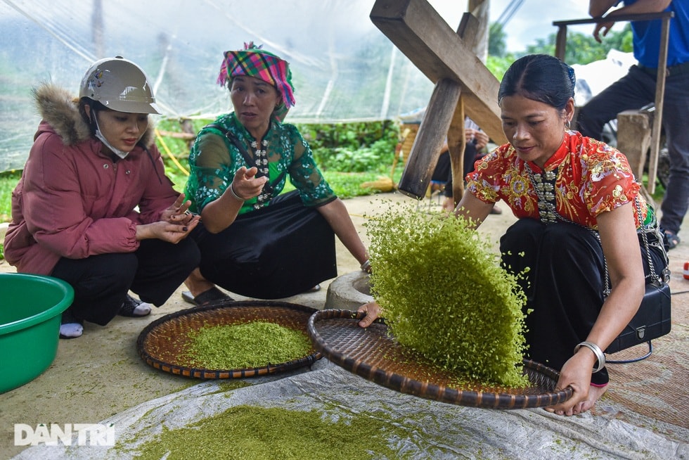Gợi ý lịch trình cho khách săn hoa tớ dày ở Mù Cang Chải - 8