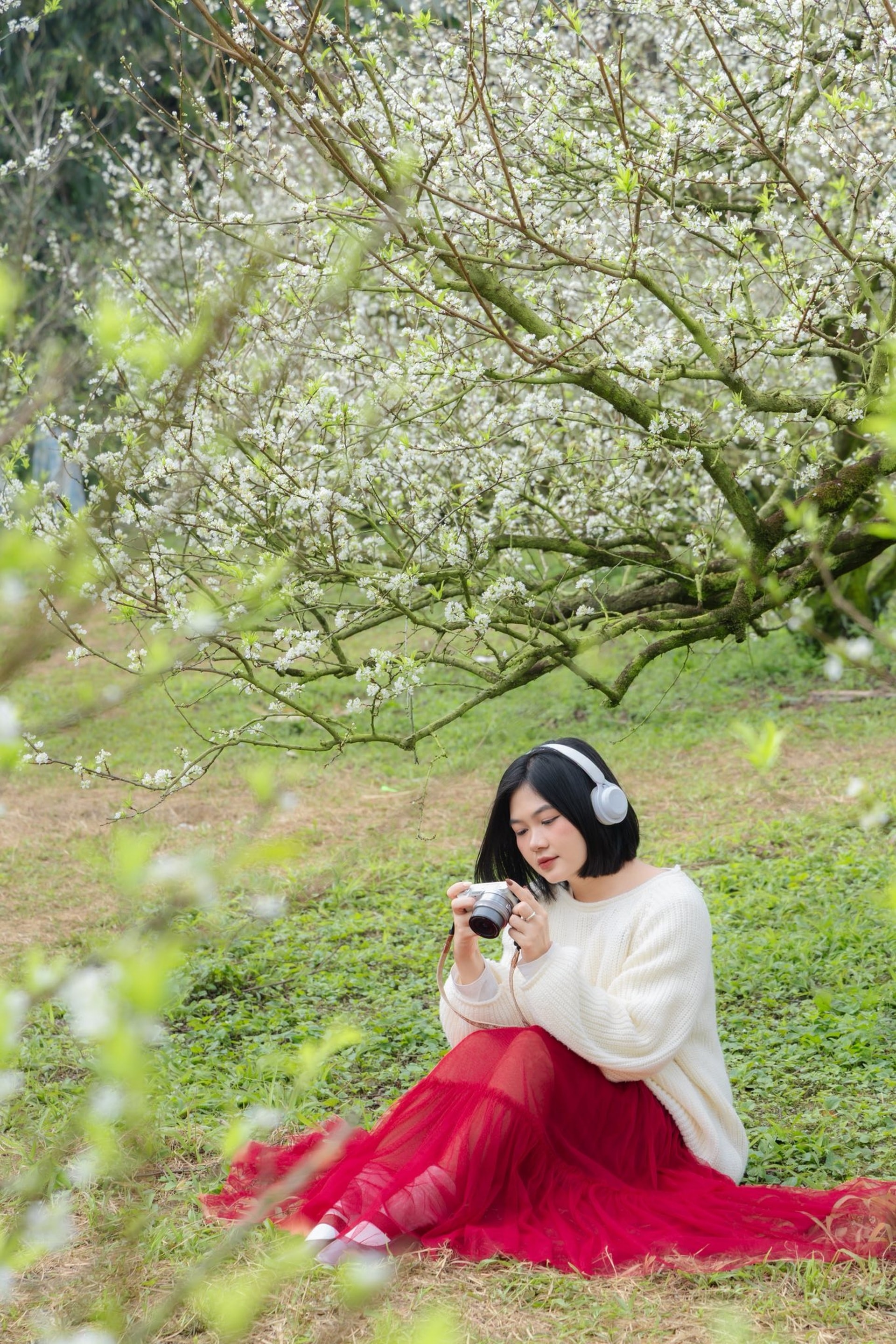 Hoa mận nở trắng Mộc Châu, du khách như lạc vào miền cổ tích - 5