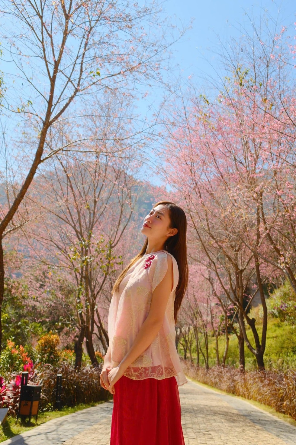 Gợi ý lịch trình cho khách săn hoa tớ dày ở Mù Cang Chải - 3