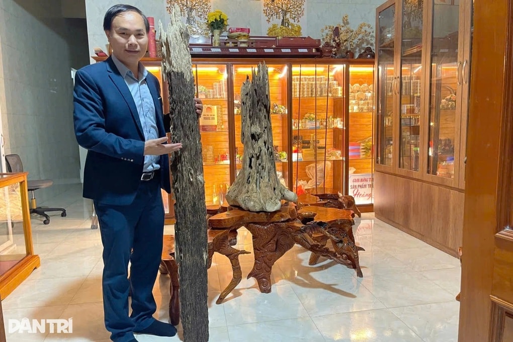Khúc gỗ trăm năm có một, được trả giá hơn 600 triệu đồng - 1
