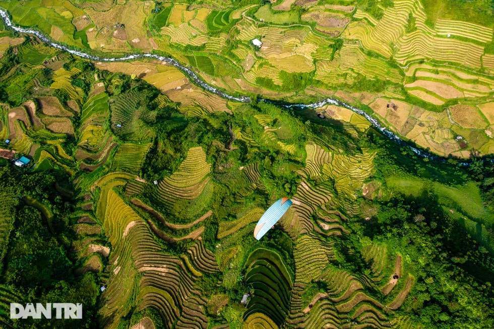 Gợi ý lịch trình cho khách săn hoa tớ dày ở Mù Cang Chải - 5