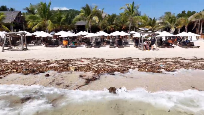 Bãi Sao sáng 2/1. Ảnh: NVCC