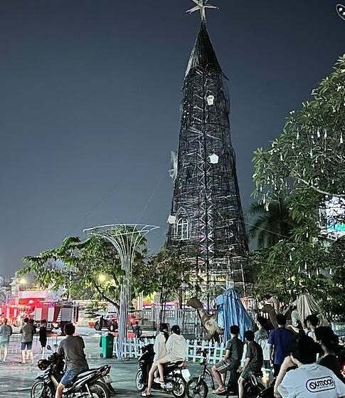 Cây thông sau khi bị cháy rụi. Ảnh: Thái Hà