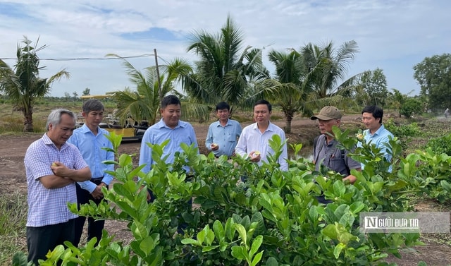 Kiên nhẫn với "đất khó" để trái chanh Việt đi xa hơn- Ảnh 2.