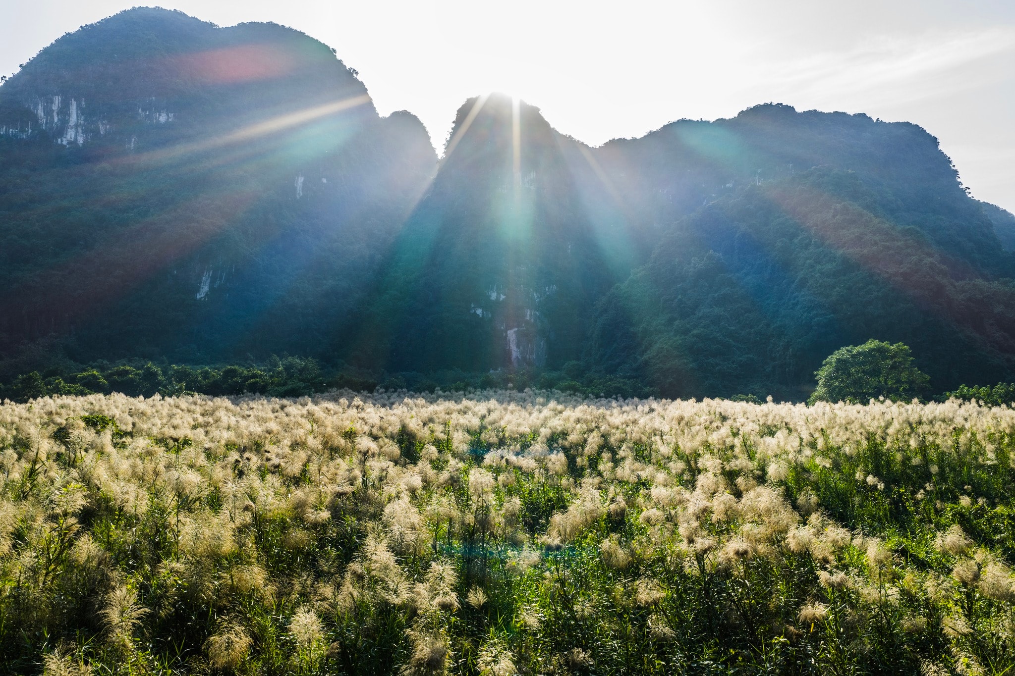 Tràng An say đắm lòng người mùa lau sậy trổ bông - Ảnh 12.