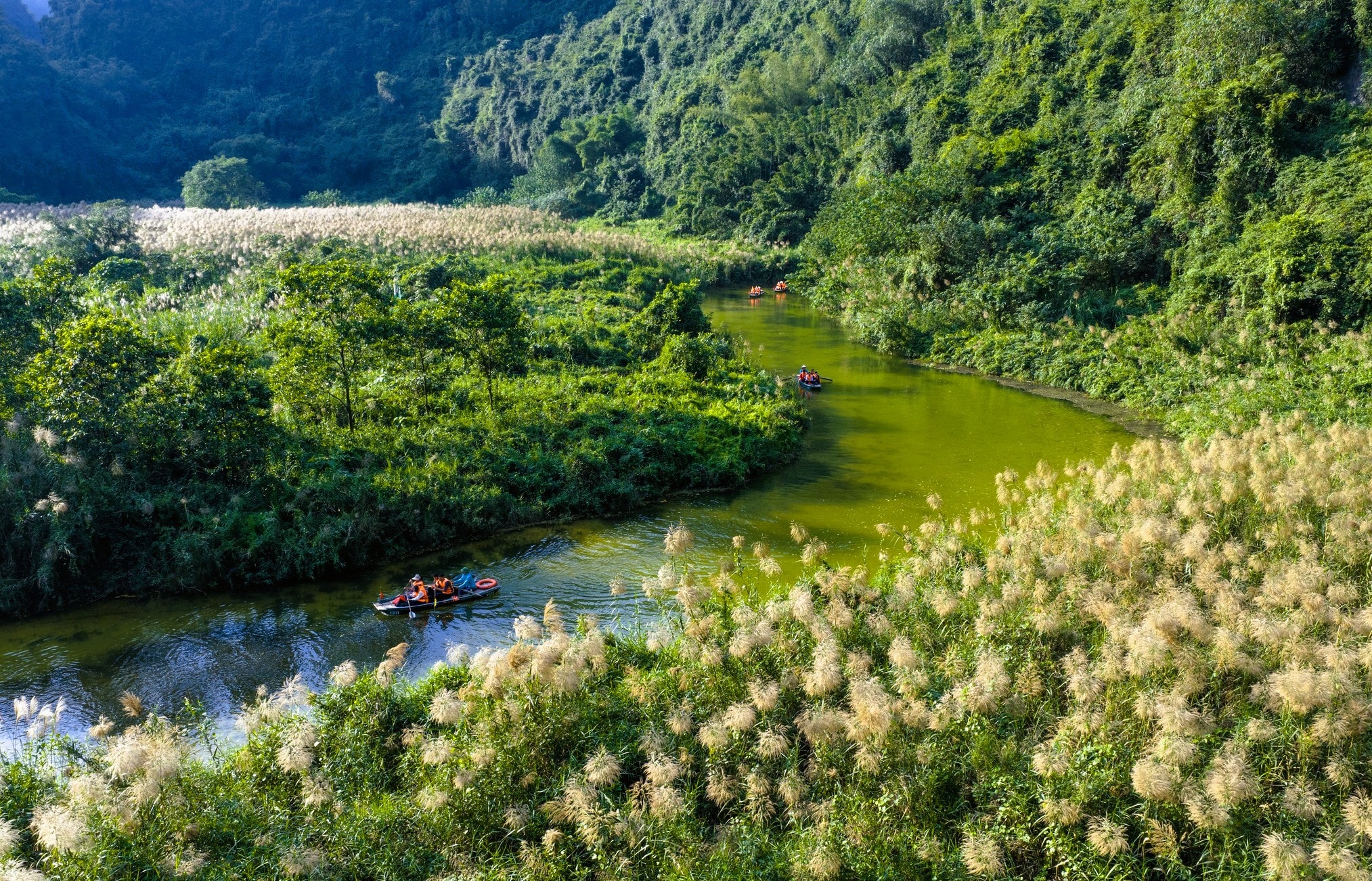 Tràng An say đắm lòng người mùa lau sậy trổ bông - Ảnh 6.
