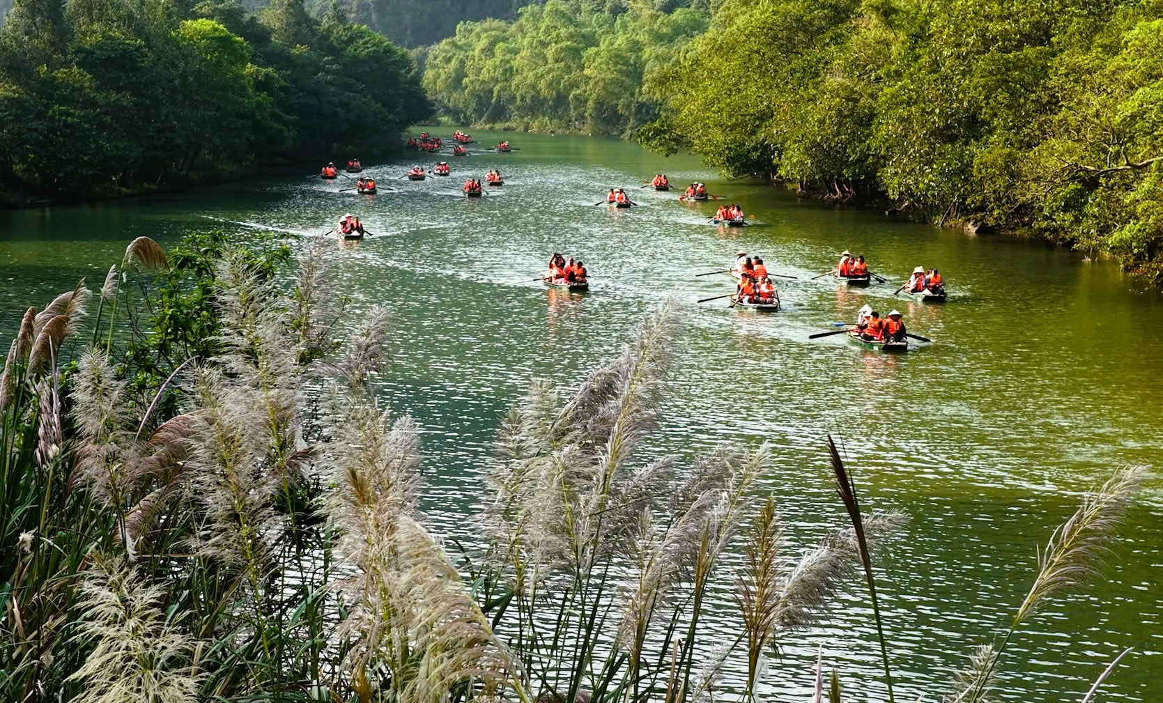 Tràng An say đắm lòng người mùa lau sậy trổ bông - Ảnh 10.