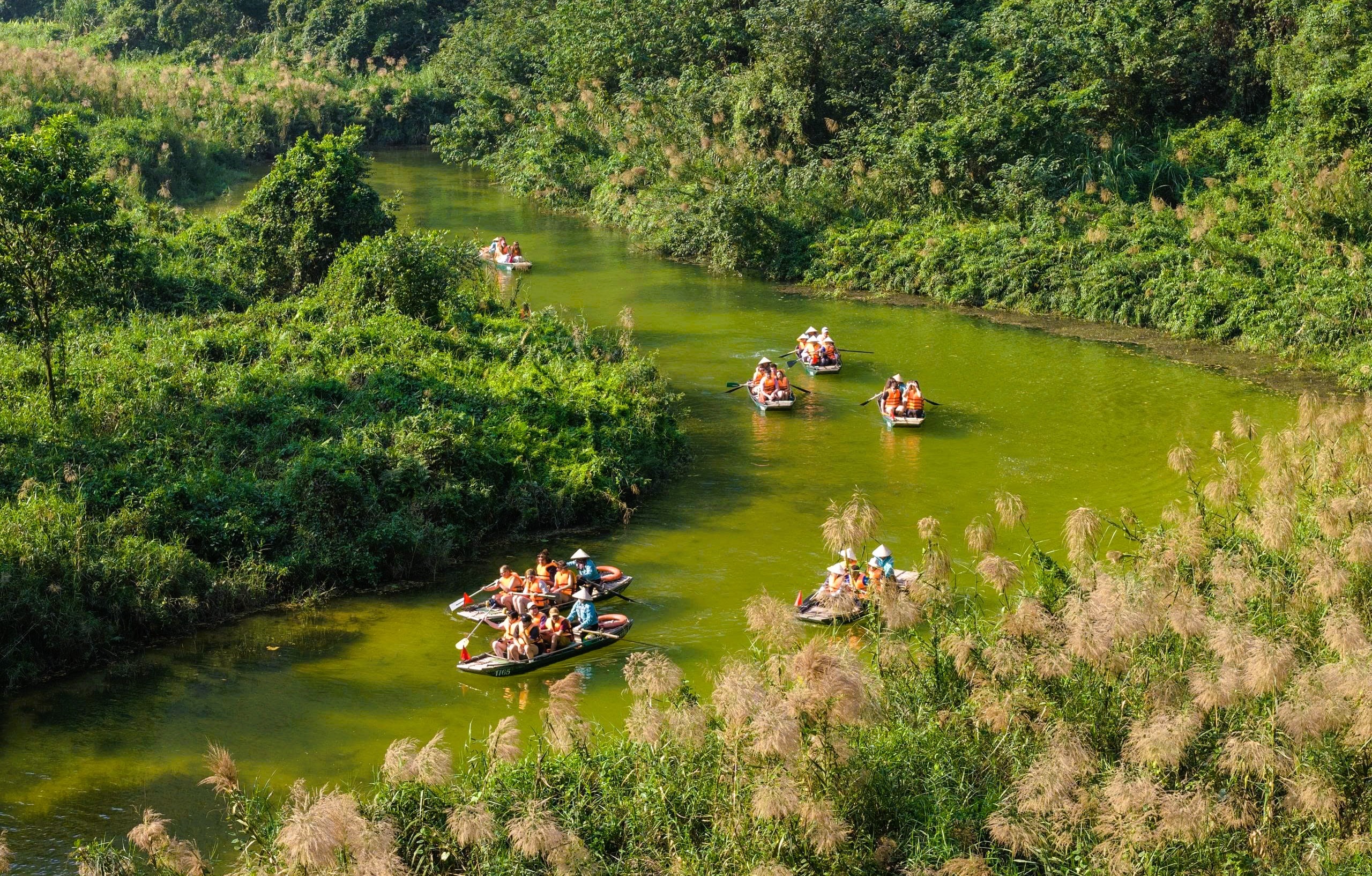 Tràng An say đắm lòng người mùa lau sậy trổ bông - Ảnh 8.