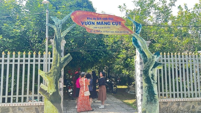 Cần Thơ: Khách Tây thích thú khi trải nghiệm tự tay vào bếp - Ảnh 4.