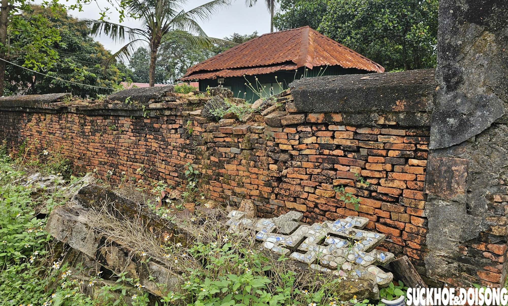 Cận cảnh điện Voi Ré, nơi suy tôn loài voi chiến trung nghĩa triều Nguyễn- Ảnh 9.