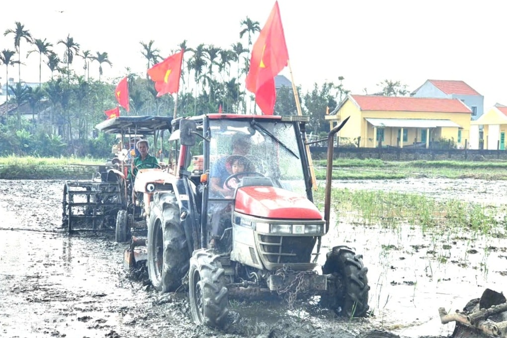 Du khách và người dân cùng xuống đồng cấy lúa ở Hội An - 1