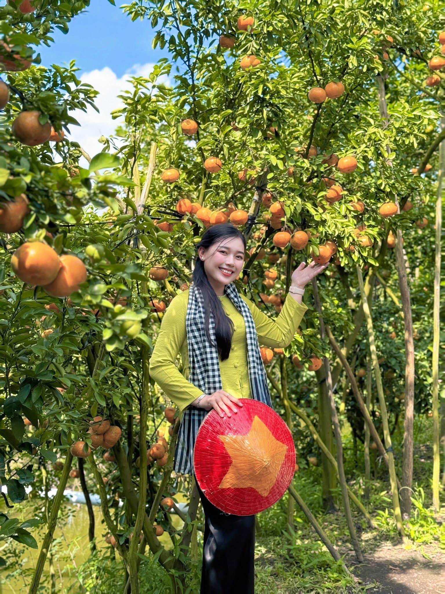 VIDEO: Du khách “ngất ngây” với những vườn quýt vàng rực ở Đồng Tháp - Ảnh 1.