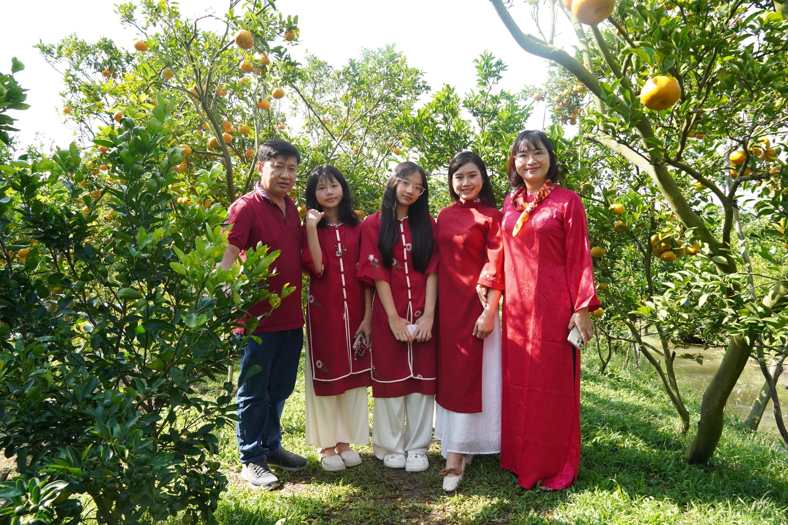 VIDEO: Du khách “ngất ngây” với những vườn quýt vàng rực ở Đồng Tháp - Ảnh 6.