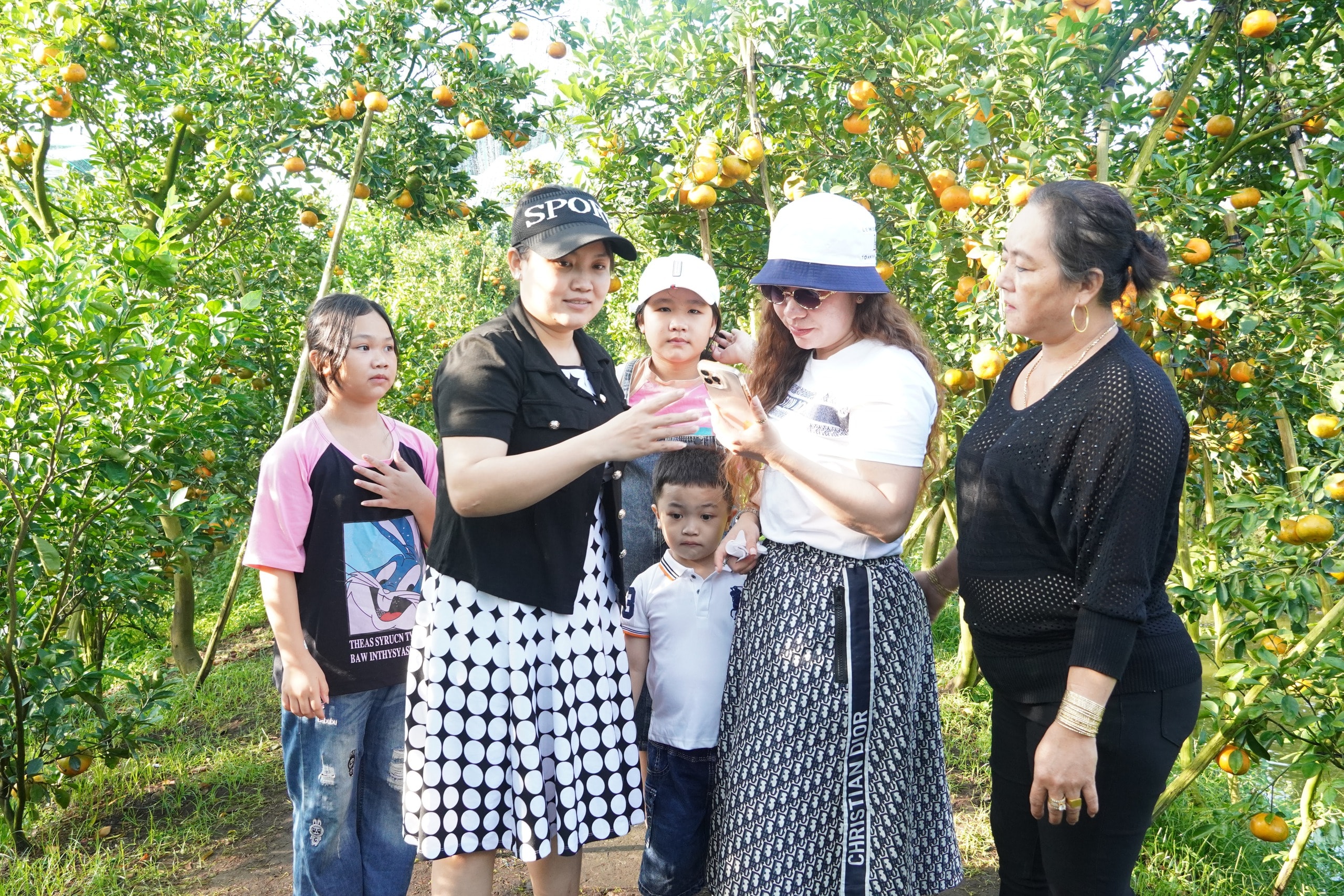 VIDEO: Du khách “ngất ngây” với những vườn quýt vàng rực ở Đồng Tháp - Ảnh 30.