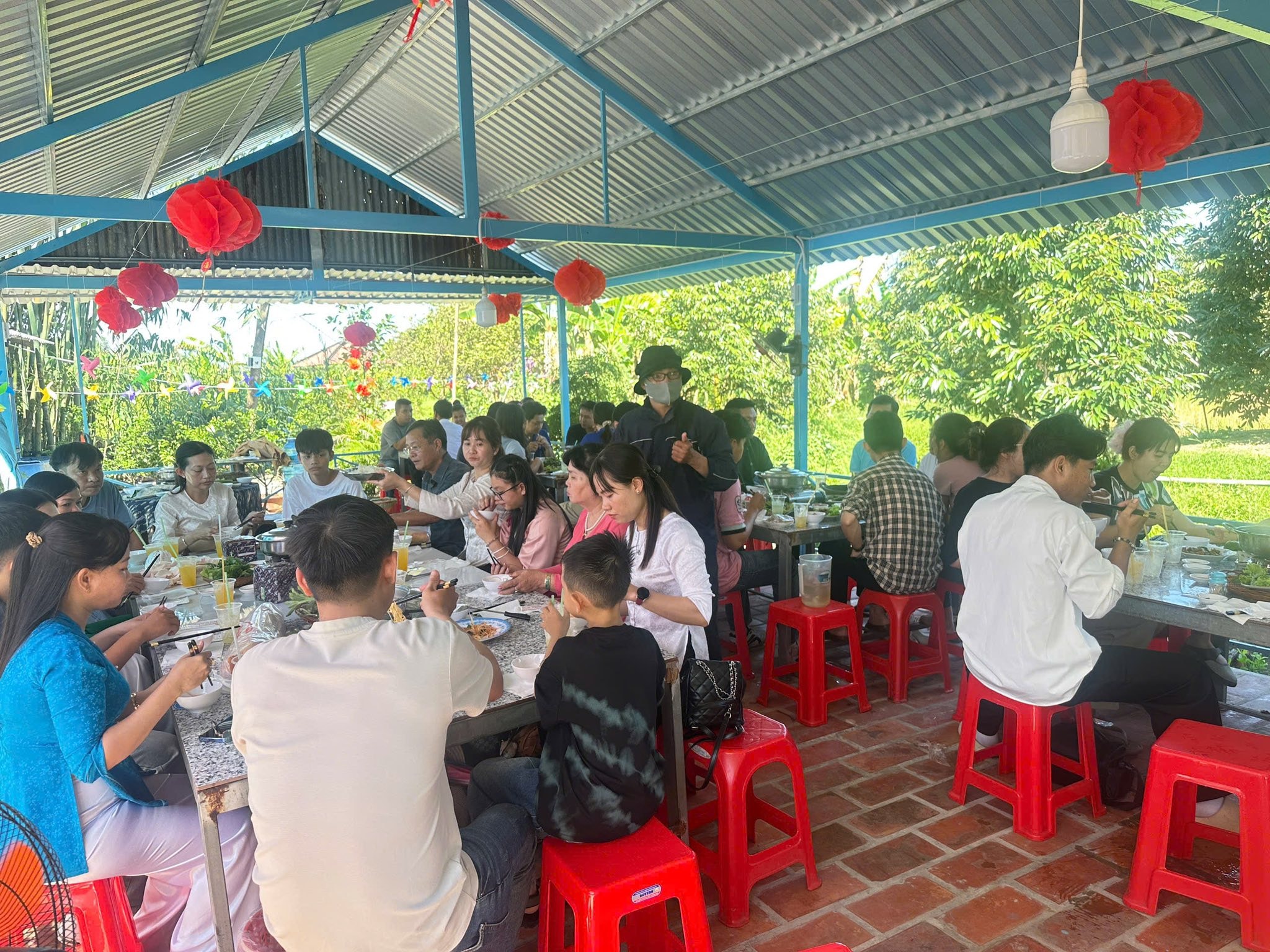 VIDEO: Du khách “ngất ngây” với những vườn quýt vàng rực ở Đồng Tháp - Ảnh 19.