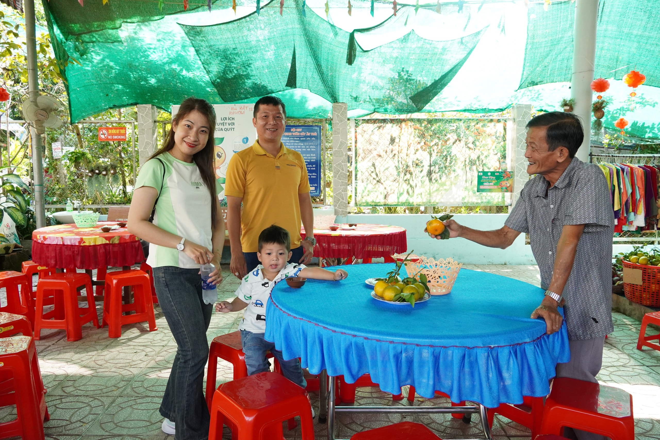 VIDEO: Du khách “ngất ngây” với những vườn quýt vàng rực ở Đồng Tháp - Ảnh 20.
