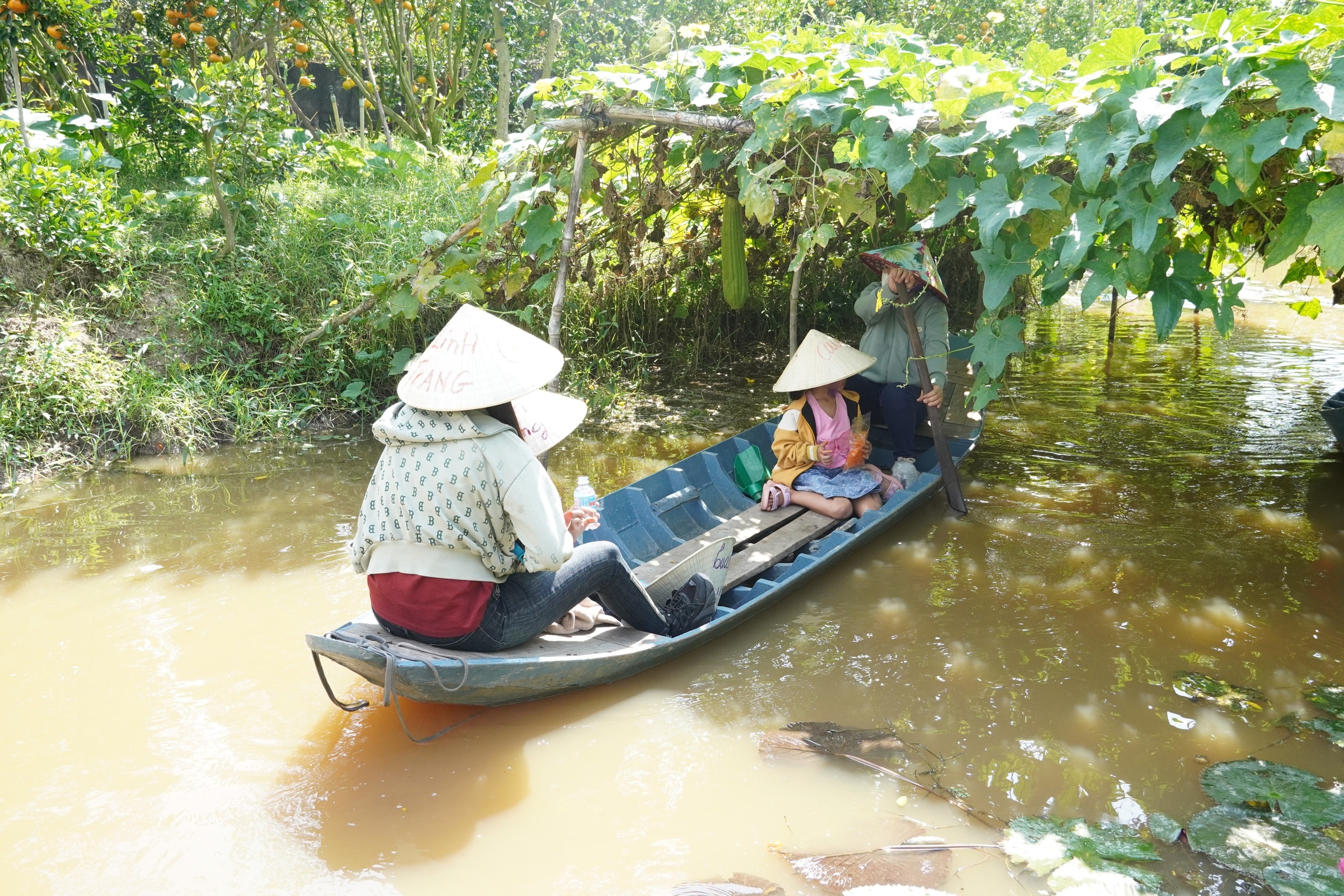 VIDEO: Du khách “ngất ngây” với những vườn quýt vàng rực ở Đồng Tháp - Ảnh 13.