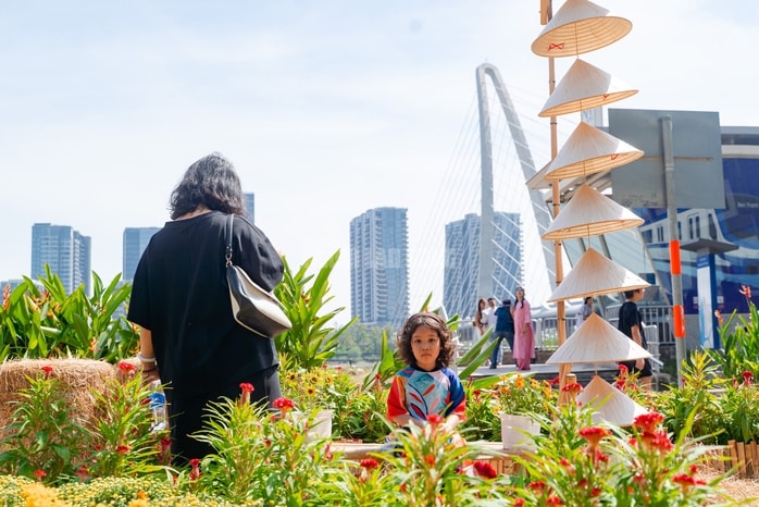 - Ảnh 6. - Ảnh 6.