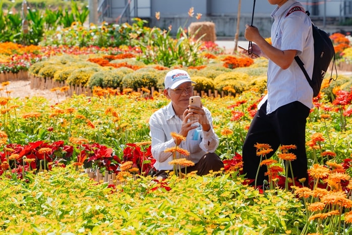 - Ảnh 7. - Ảnh 7.