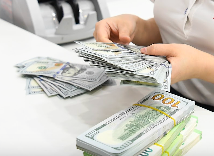 Dự báo giá USD năm 2026 tại Việt Nam và những yếu tố tác động Chính - Ảnh 2. Dự báo giá USD năm 2026 tại Việt Nam và những yếu tố tác động Chính - Ảnh 2.