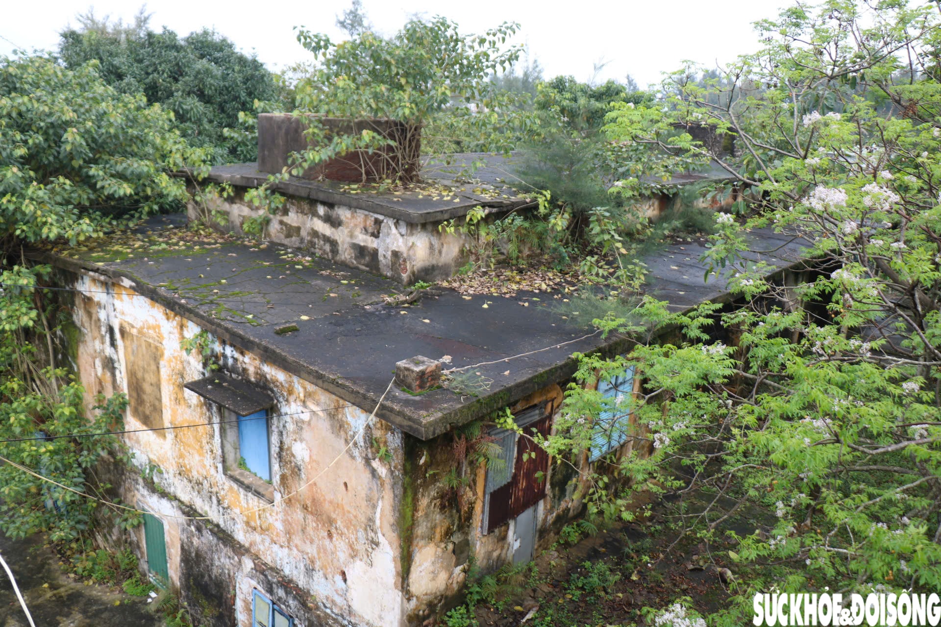 Khám phá công trình quân sự quan trọng dưới triều Nguyễn ở Huế- Ảnh 5.