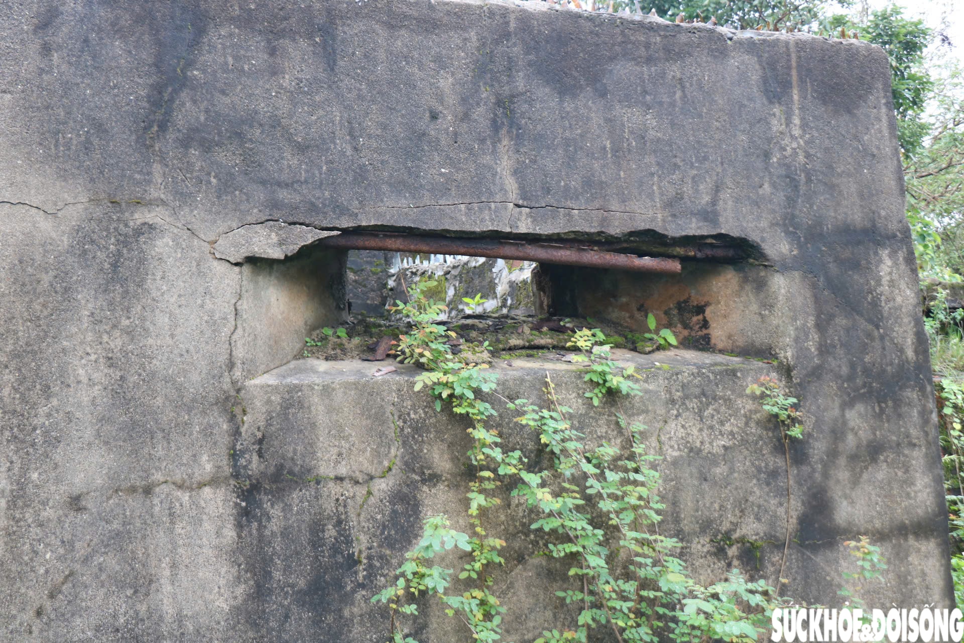 Khám phá công trình quân sự quan trọng dưới triều Nguyễn ở Huế- Ảnh 6.