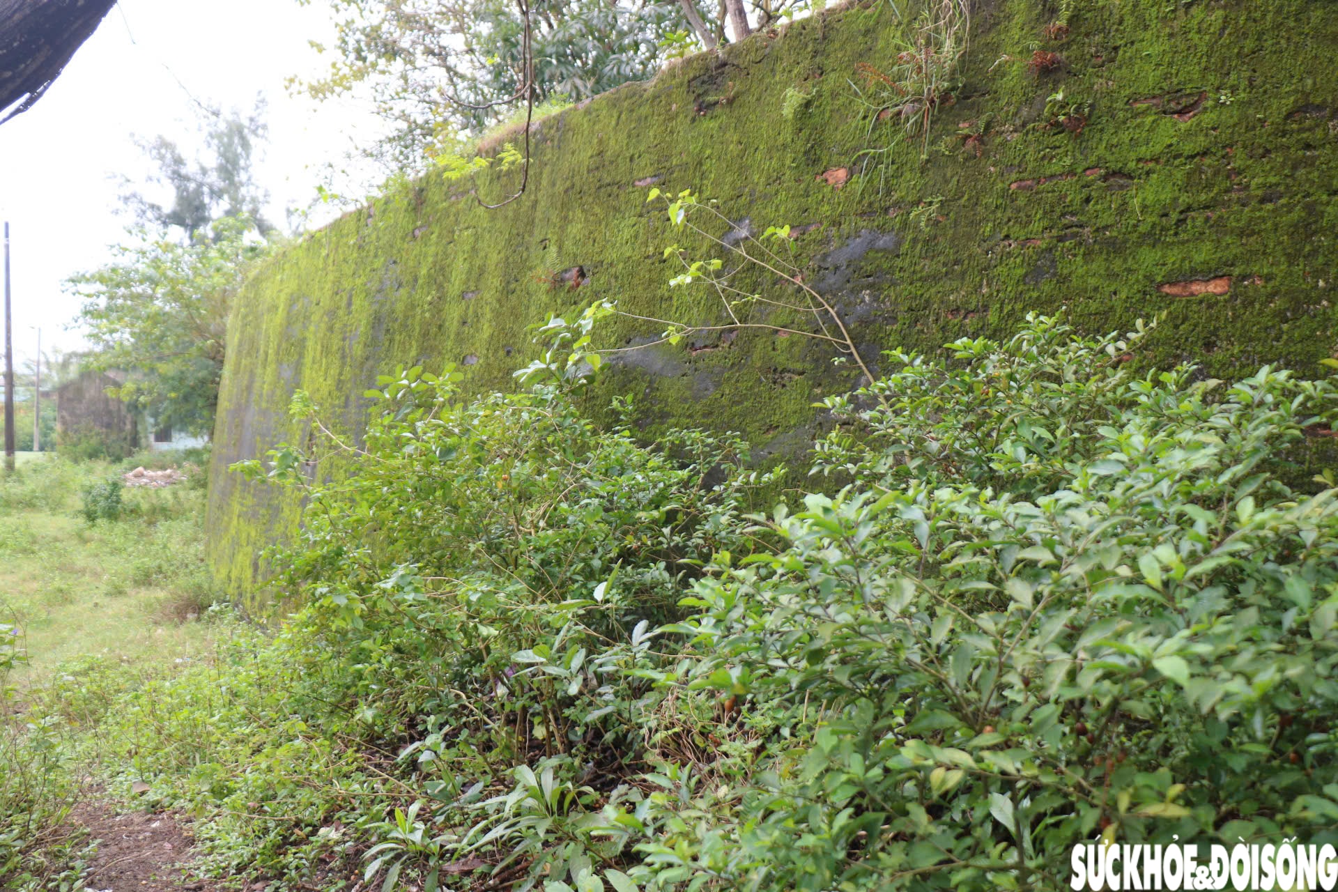 Khám phá công trình quân sự quan trọng dưới triều Nguyễn ở Huế- Ảnh 7.