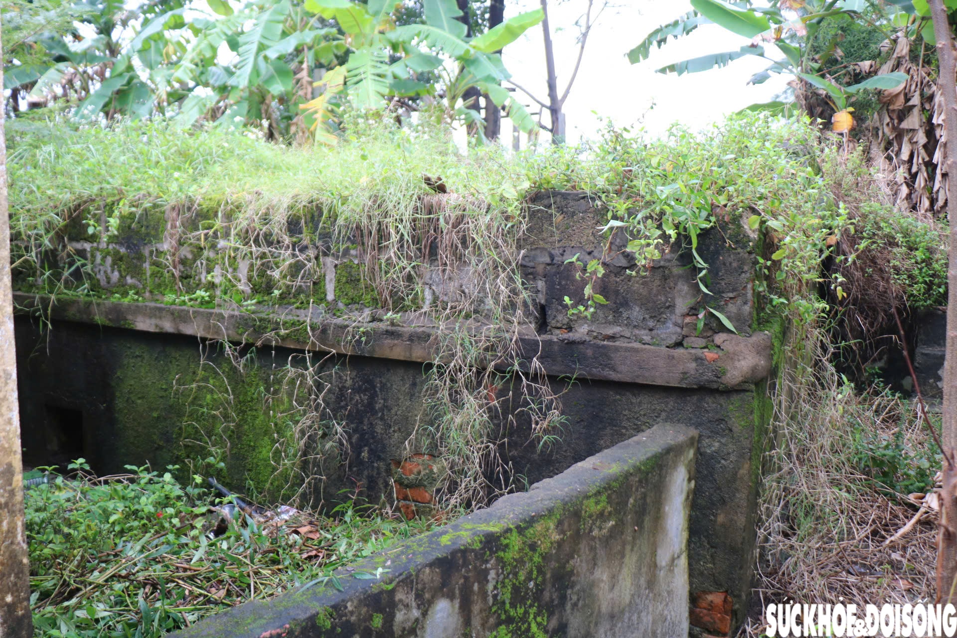 Khám phá công trình quân sự quan trọng dưới triều Nguyễn ở Huế- Ảnh 11.