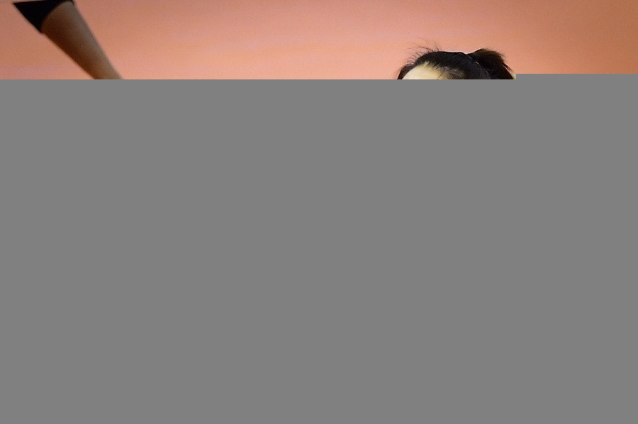 Đoàn Thị Lâm Oanh là tuyển thủ bóng chuyền nữ Việt Nam.