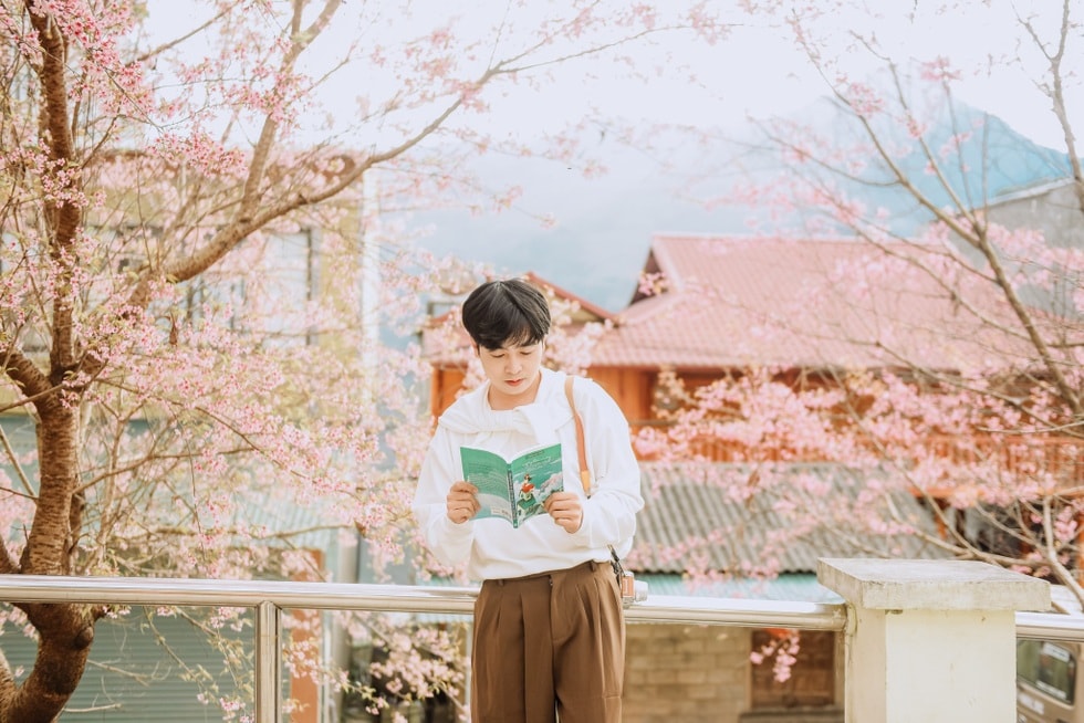 Chi 3 triệu đồng đi Hà Giang ngắm hoa, du khách ngỡ lạc lối ở Nhật Bản - 1