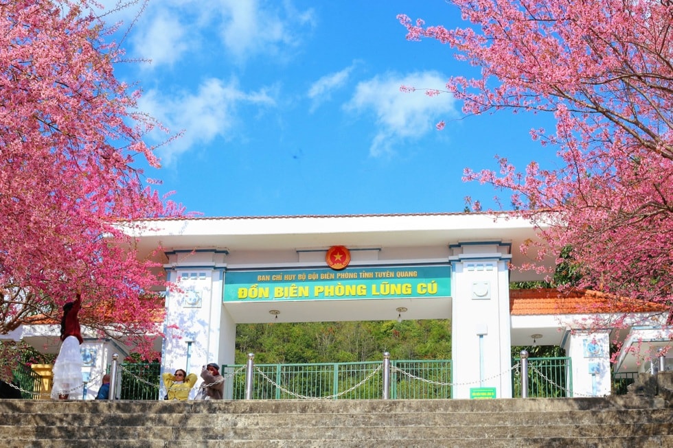 Chi 3 triệu đồng đi Hà Giang ngắm hoa, du khách ngỡ lạc lối ở Nhật Bản - 4