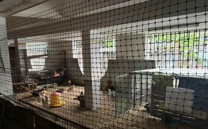 Tầng hầm bị quây thành chuồng gà. Ảnh: Sohu