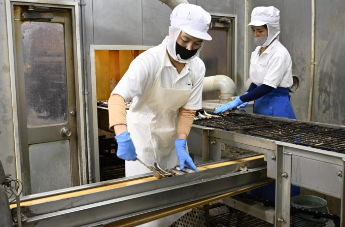 Thực tập sinh Việt Nam ở cảng cá Chosi, Nhật Bản. Ảnh: Japan Times