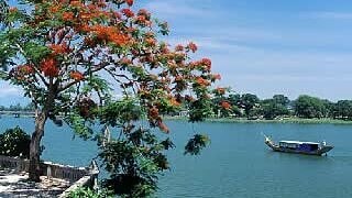 Ca khúc 'Hà Nội của tôi' - nhạc sĩ Đoàn Bổng