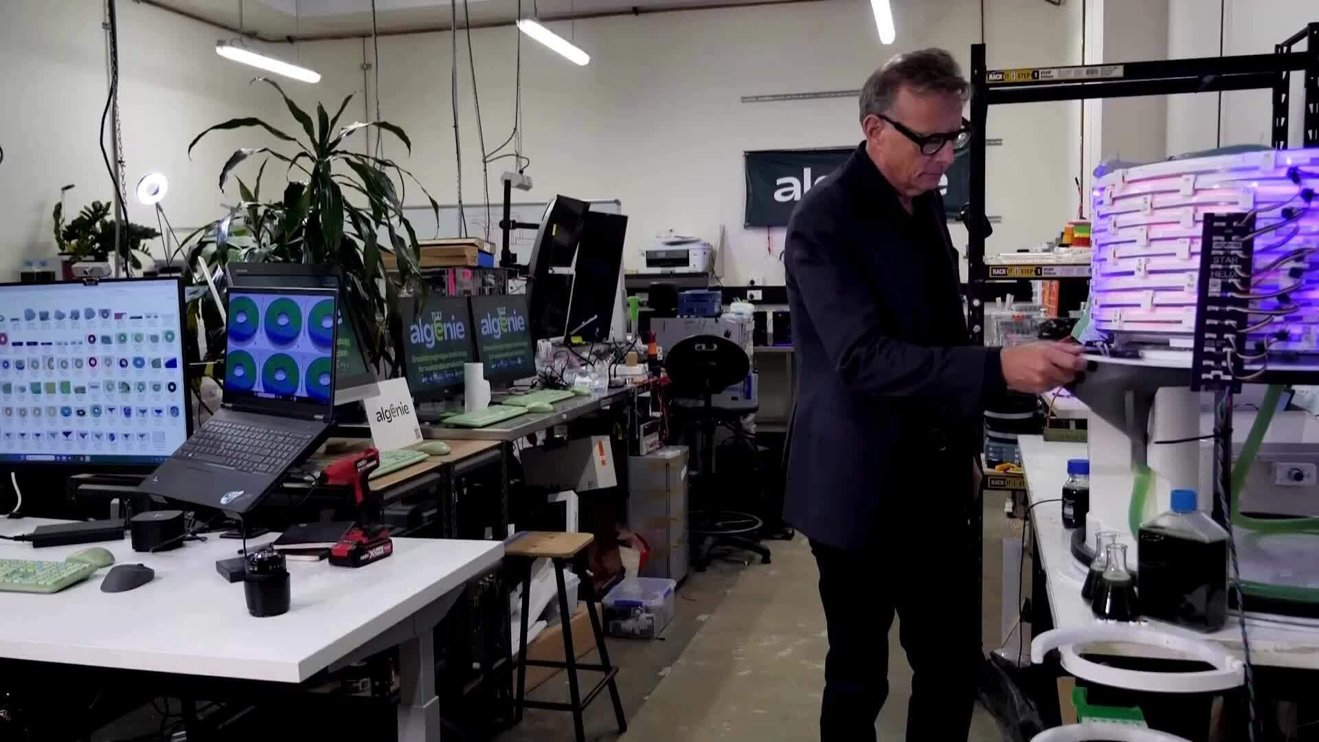 Dùng tảo thay thế sản phẩm hóa dầu